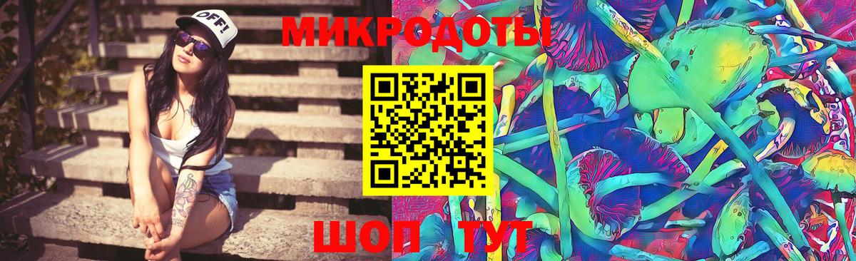 Галлюциногенные грибы GOLDEN TEACHER Бор